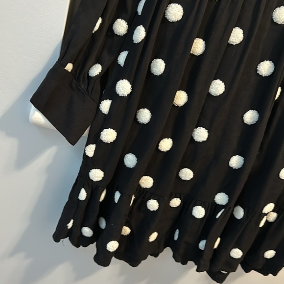 2️⃣ for $20 ZARA M 3D Pompom Polka Dots Black & White V Neck Long Sleeves Dress - Picture 4 of 9